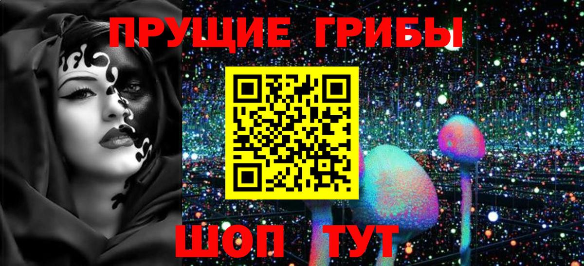 Псилоцибиновые грибы прущие грибы  Вход с VPN  Родники 