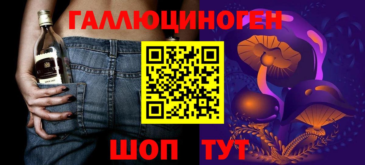 Псилоцибиновые грибы Psilocybe Родники
